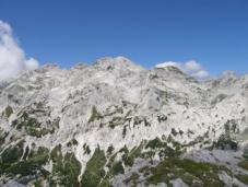 Klik za večjo sliko